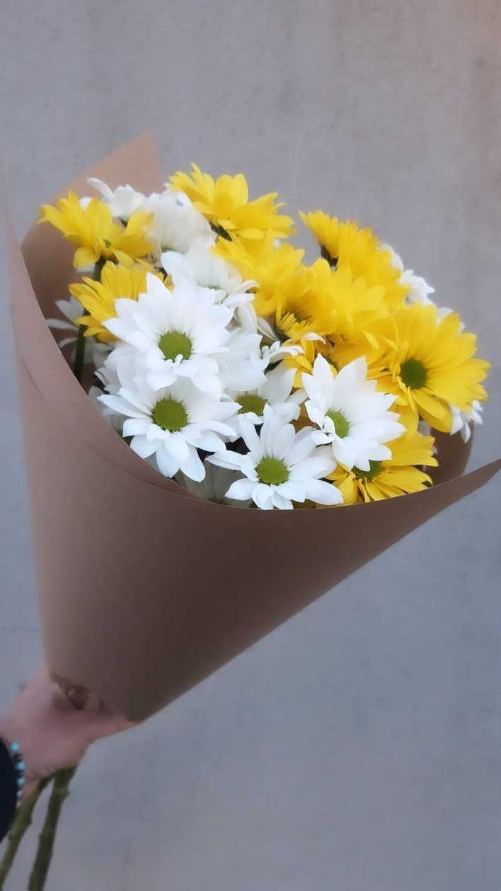 Chrysanthemum in bouquet (5 stems)