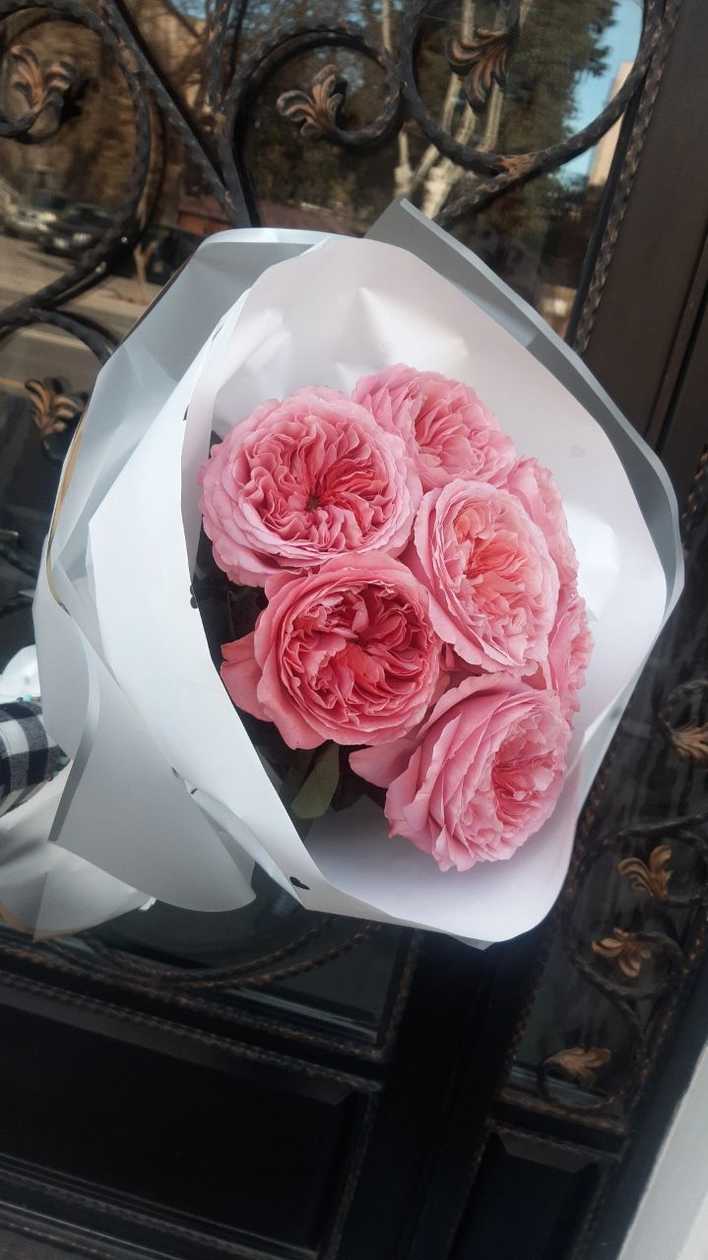 Piony rose "Candy x-pression" (7 stems)