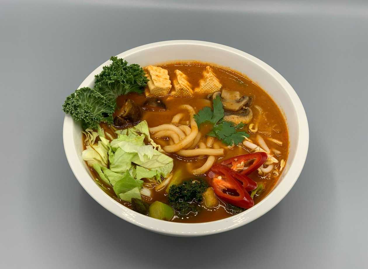 Udon noodle soup with tofu