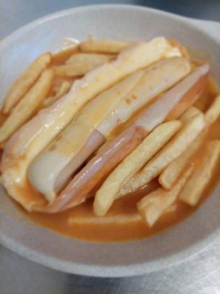Cachorro à Casa