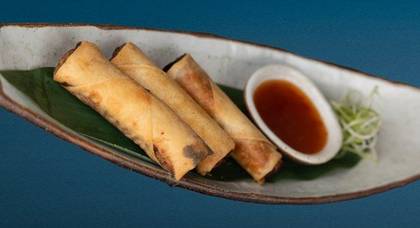 Duck Spring Rolls, 3 Pieces