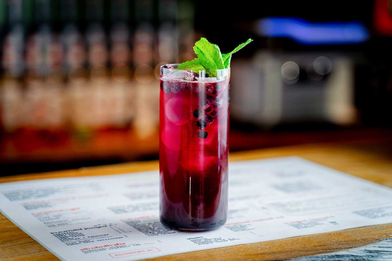 Blueberry-Lemongrass Lemonade