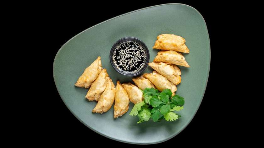 Gyoza with chicken