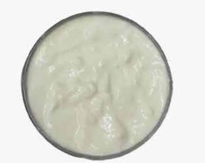 Yogurt