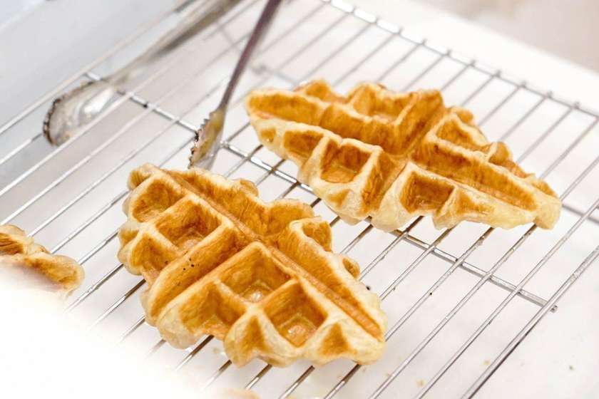 Lotus (Cro-Waffles)
