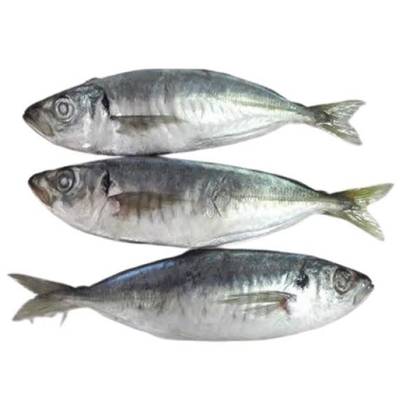 Kpanla