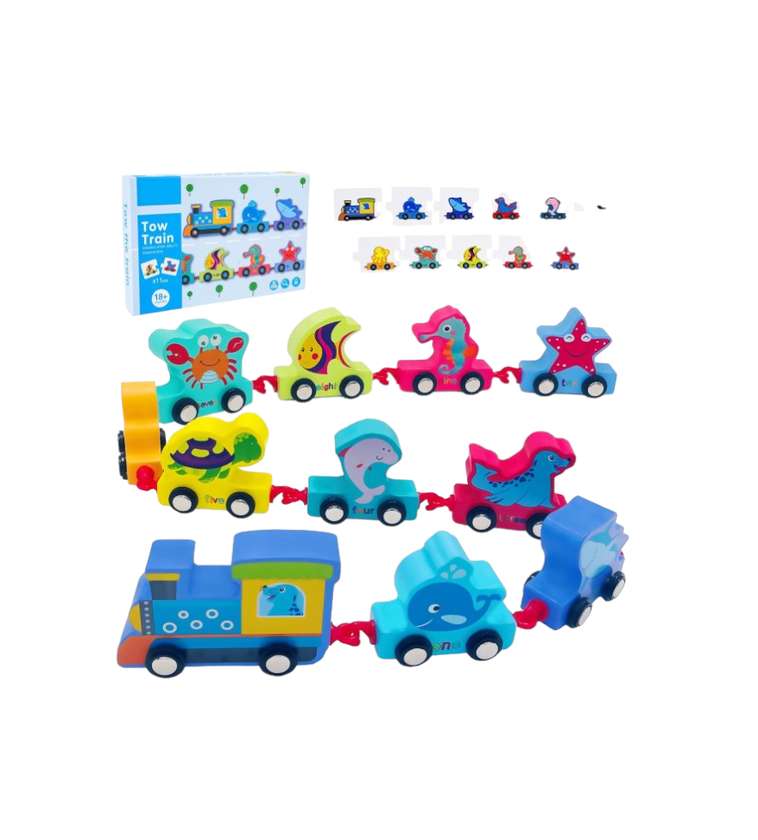 Wooden train