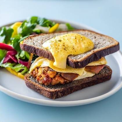Chicken and Cheese Hot Sandwich
