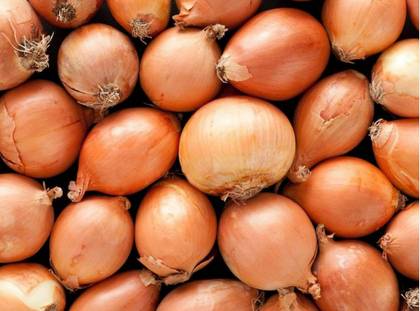 New Onion 1 Kg