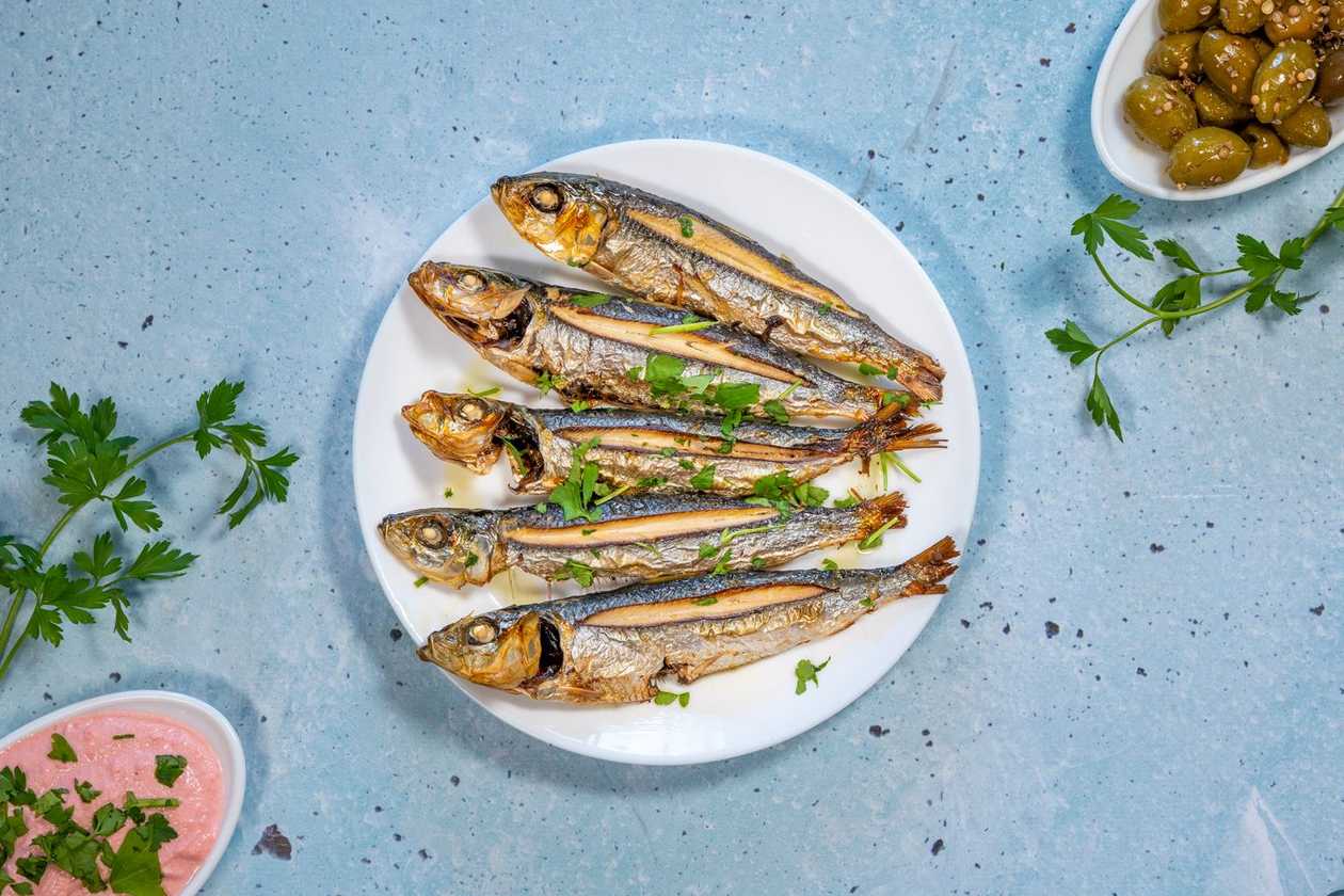 Sardines
