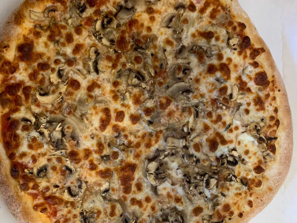 Funghi - small