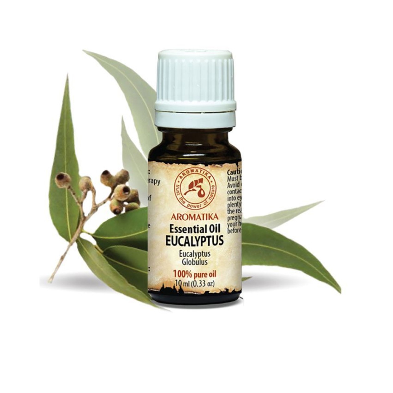 Eucalyptus Essential Oil 0.01 l