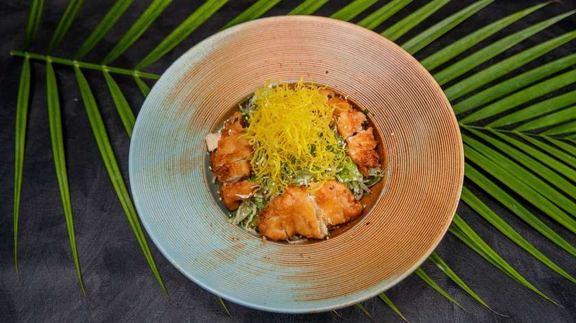 Crispy Asian salad with chicken