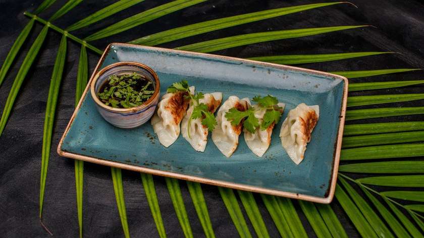 Chicken gyoza