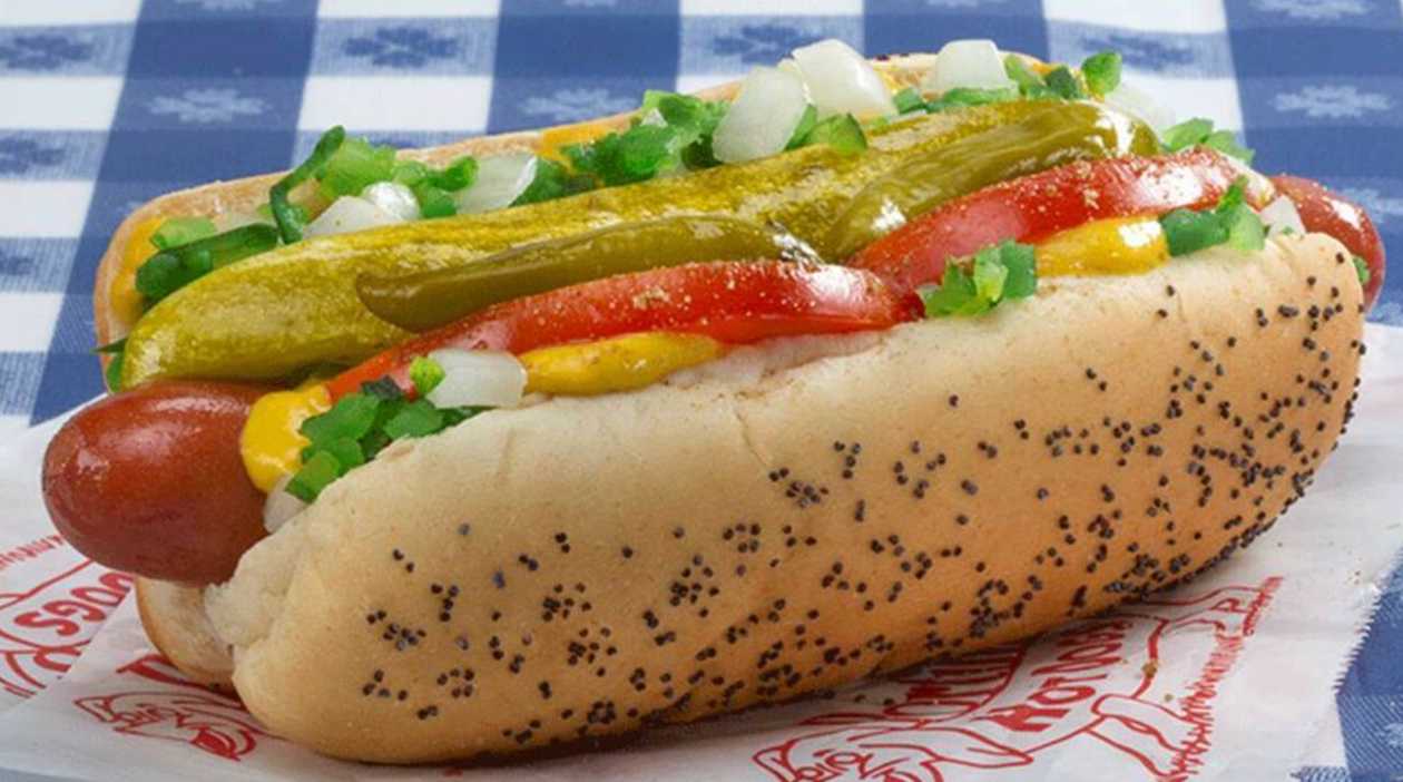 Chicago Hot Dog