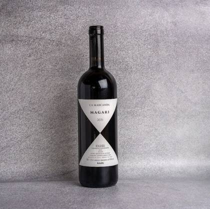 ‘Magari’ Bolgheri