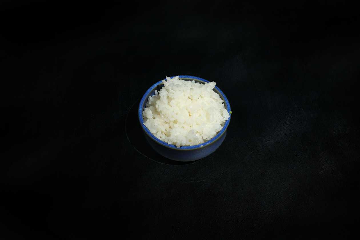 Plain Rice