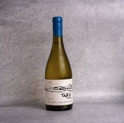 Chardonnay ‘Tara Atacama’