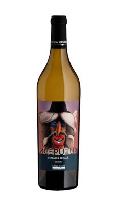 ÎNCEPUTURI Feteasca regala 2022