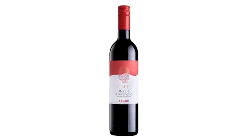 Cesari Essere Merlot Trevenezie IGT 2023 12% 0,75 l