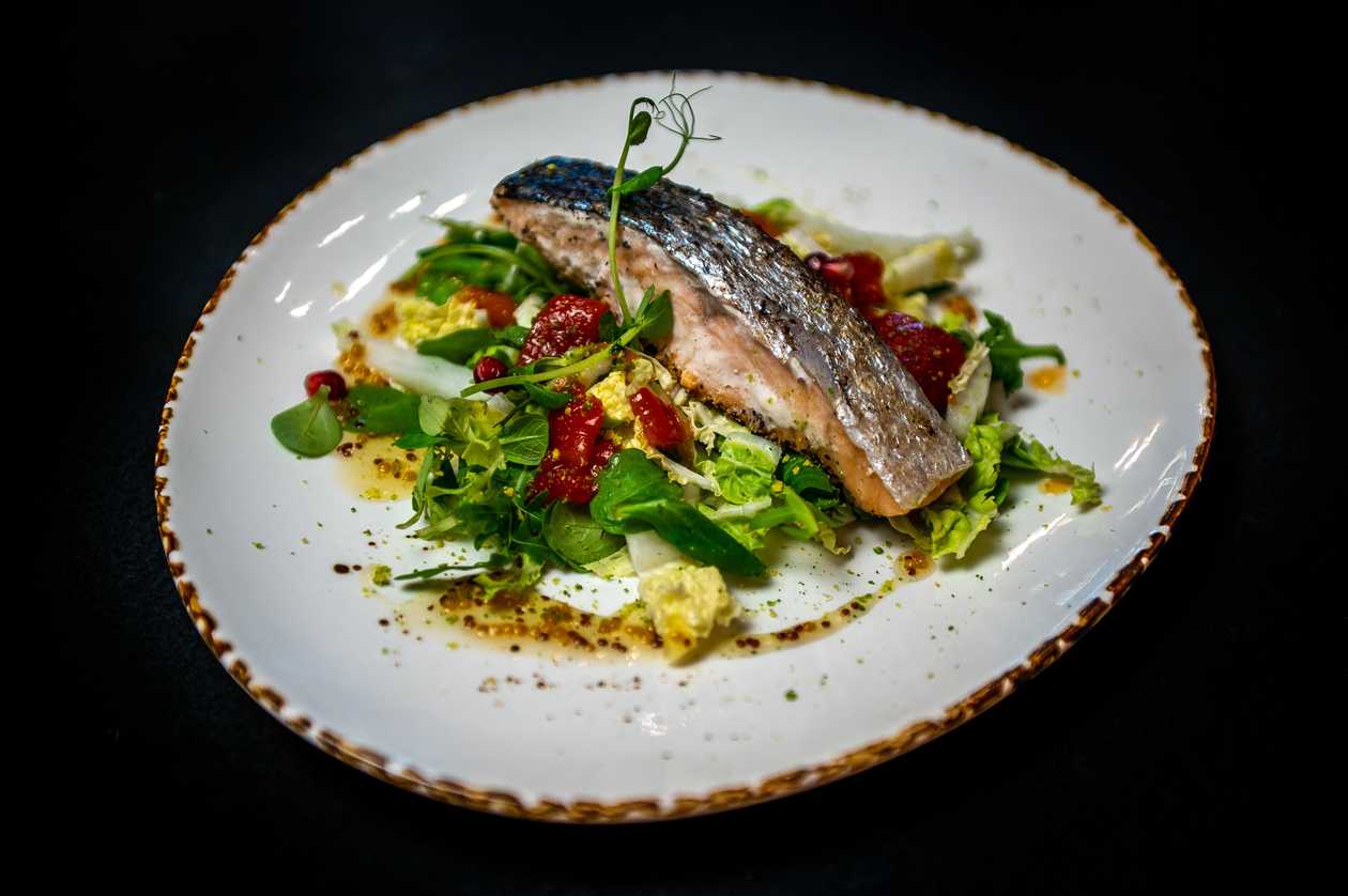 Salmon fillet with summer salad