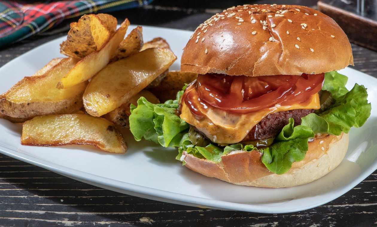 VEGETARIAN BURGER