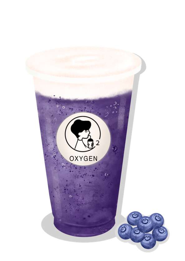 Blueberry Cheese Tea 多肉蓝莓