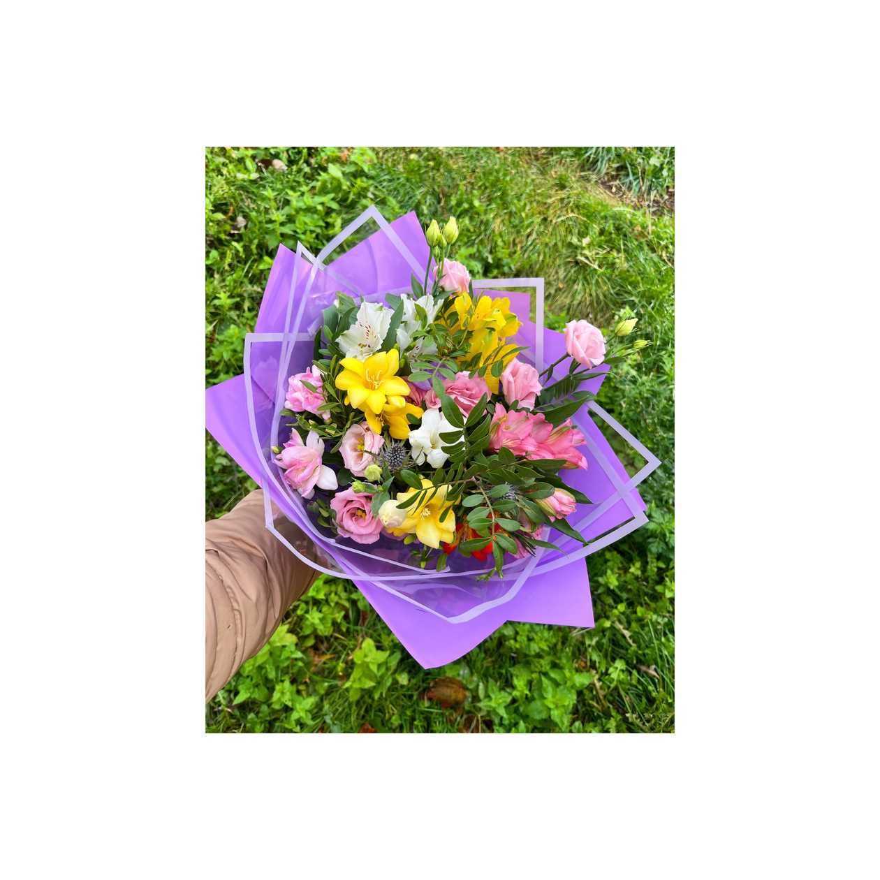 Šiaurės pašvaistė