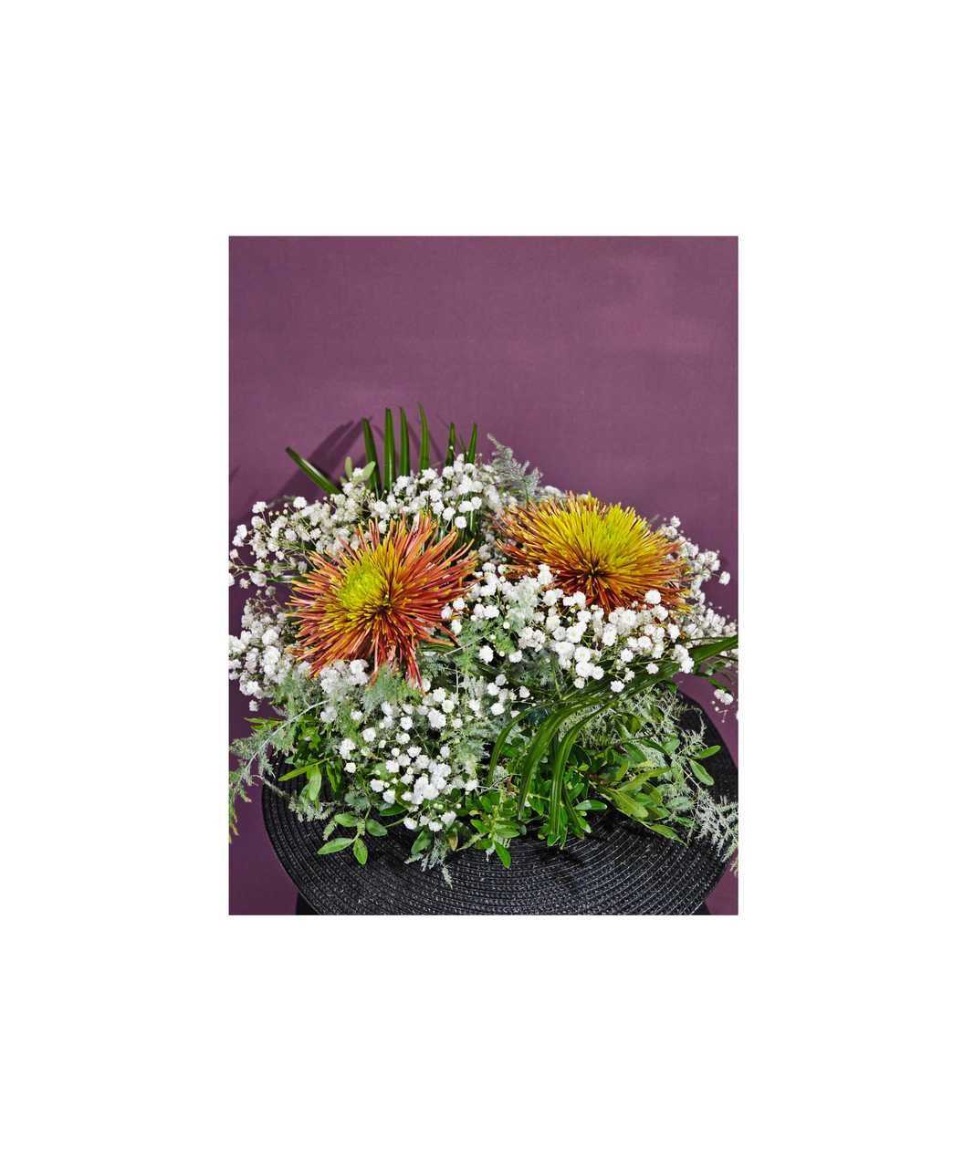 Two Needle Chrysanthemums on a Plate ⚫️