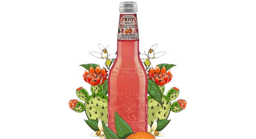 Galvanina Bio Drink - Mandarin & Prickly Pear