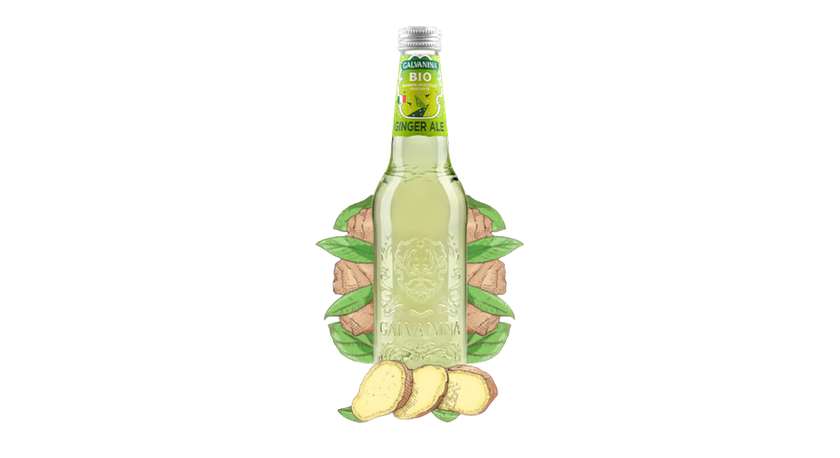 Galvanina Bio Drink - Ginger Ale