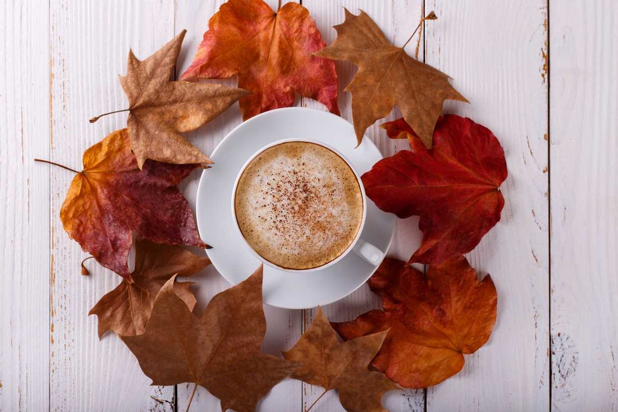 Invincible tea cappuccino