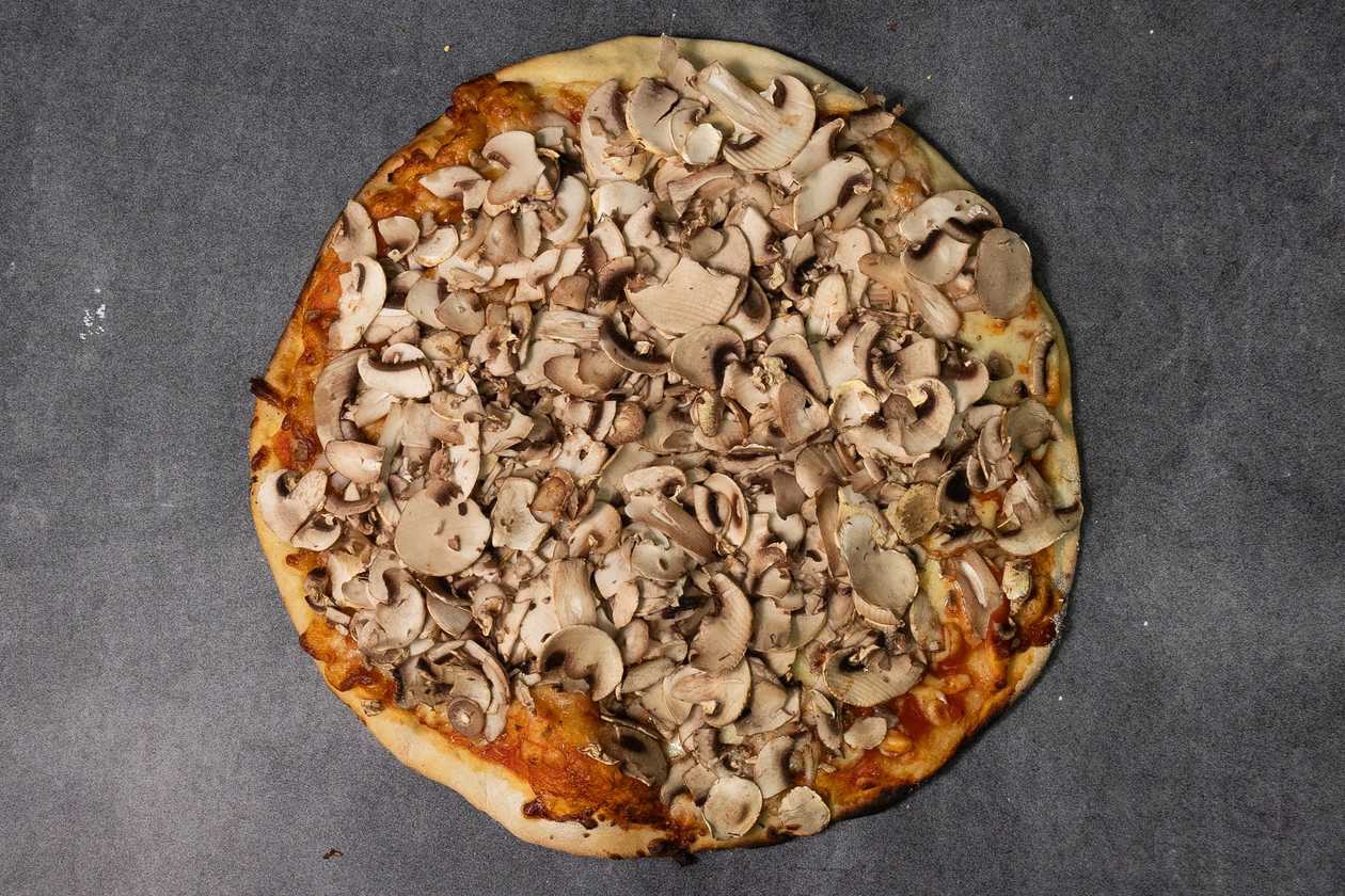 Funghi