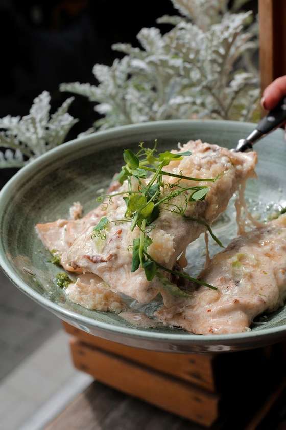 Cannelloni with turkey and porcini mushrooms
