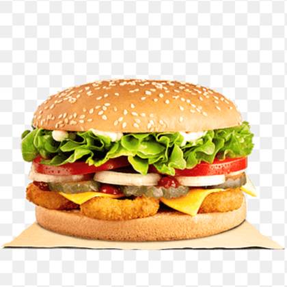 Vegetarian Burger