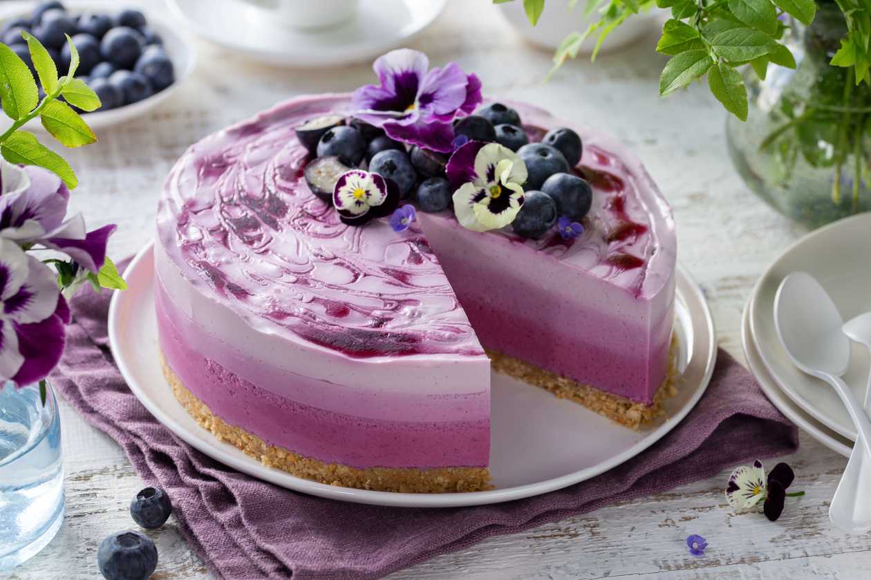 Blueberry Cheesecake
