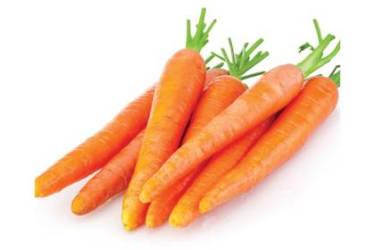 Carrot