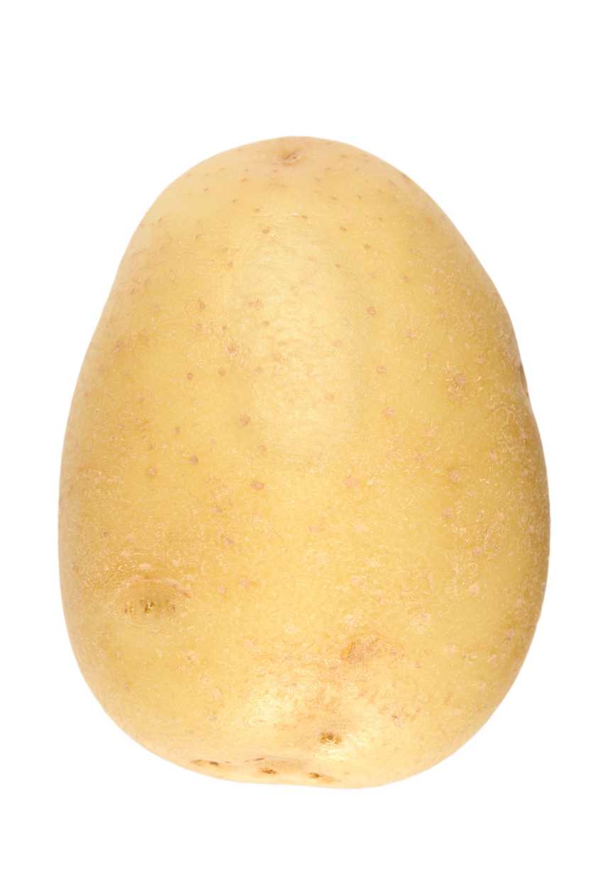 Potato