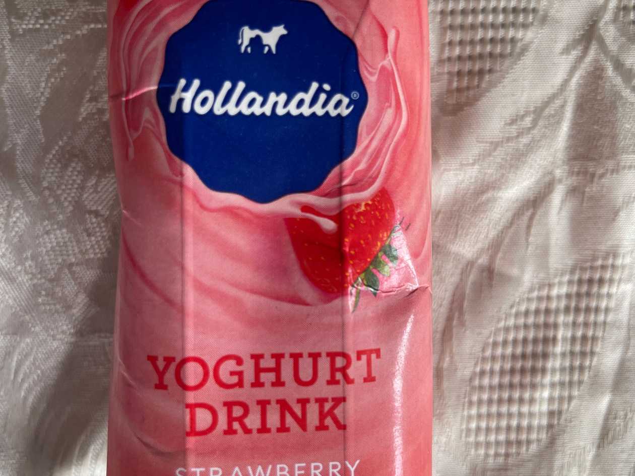 Hollandia small
