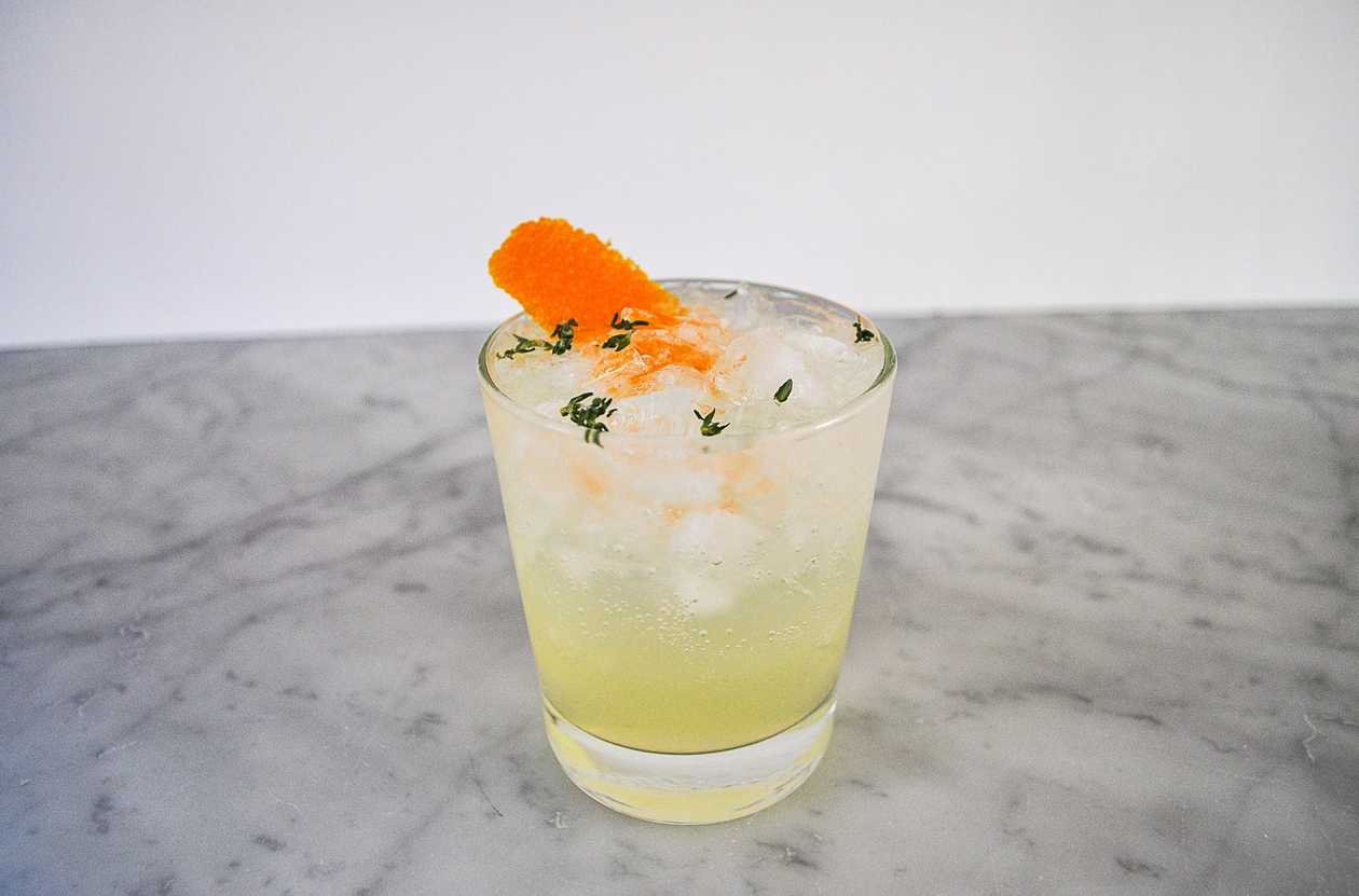 Fresh Orange and Thyme G&T