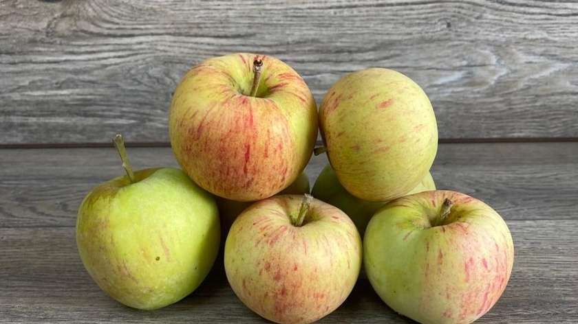Āboli Jauna Raža “Konfetnoje” [ 1 KG ]