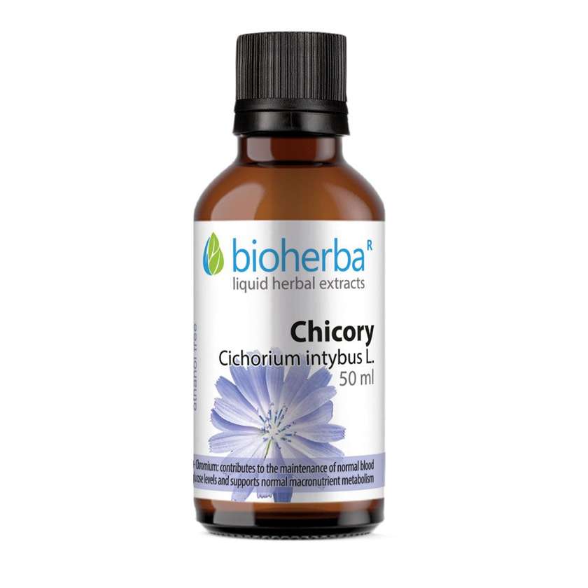 9992698 Tincture Blue Bile (Chicory) 50Ml Bioherba