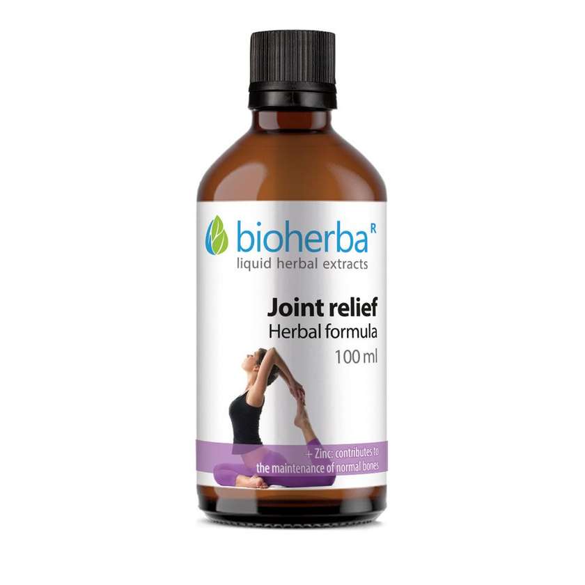 9993125 Revmoart Tincture, 100 ml, Bioherba