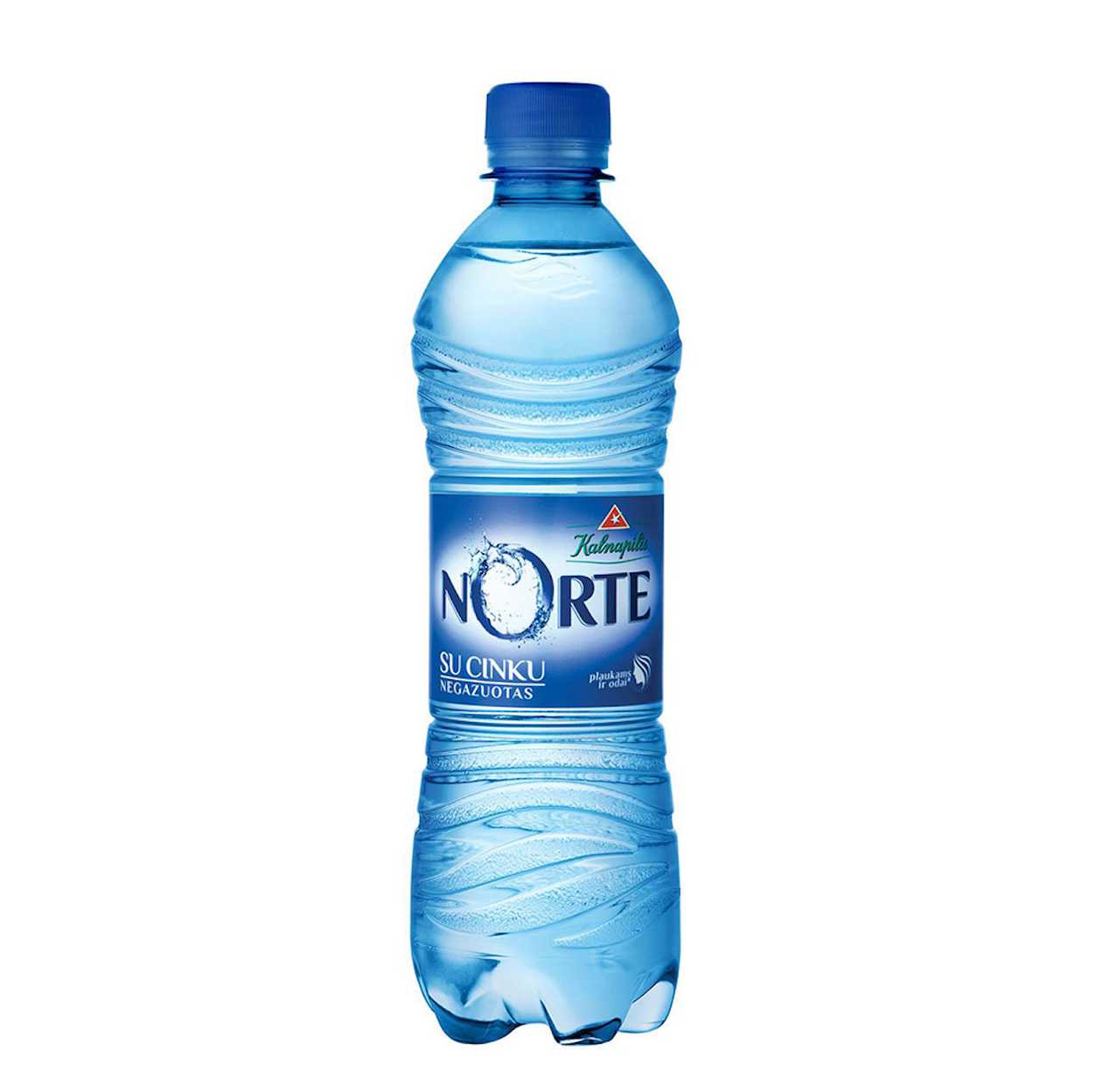 Negazuotas vanduo - 0.5 l