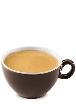 Hot Instant Regular 12oz