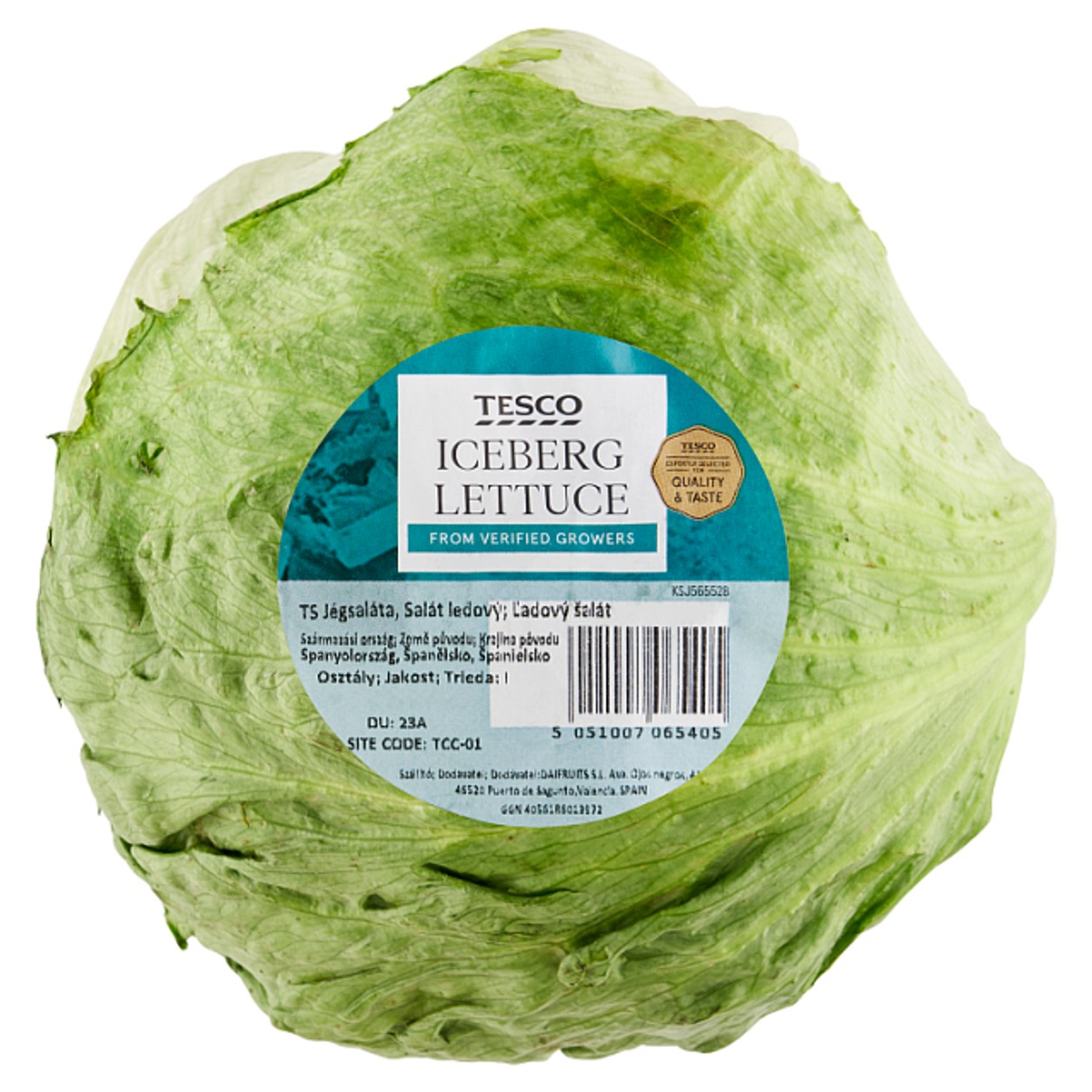 Tesco Salát Ledový