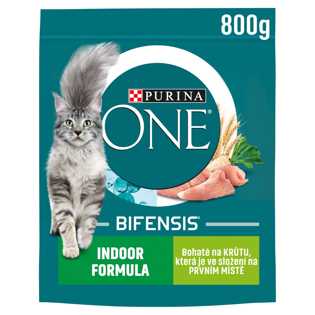 Purina One Indoor Bohaté Na Krůtu 800g