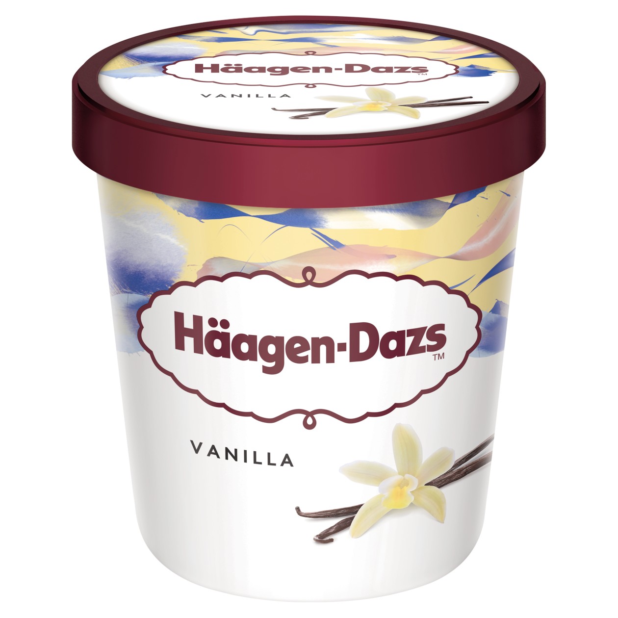 Häagen-Dazs Vanilla Ice Cream 460Ml