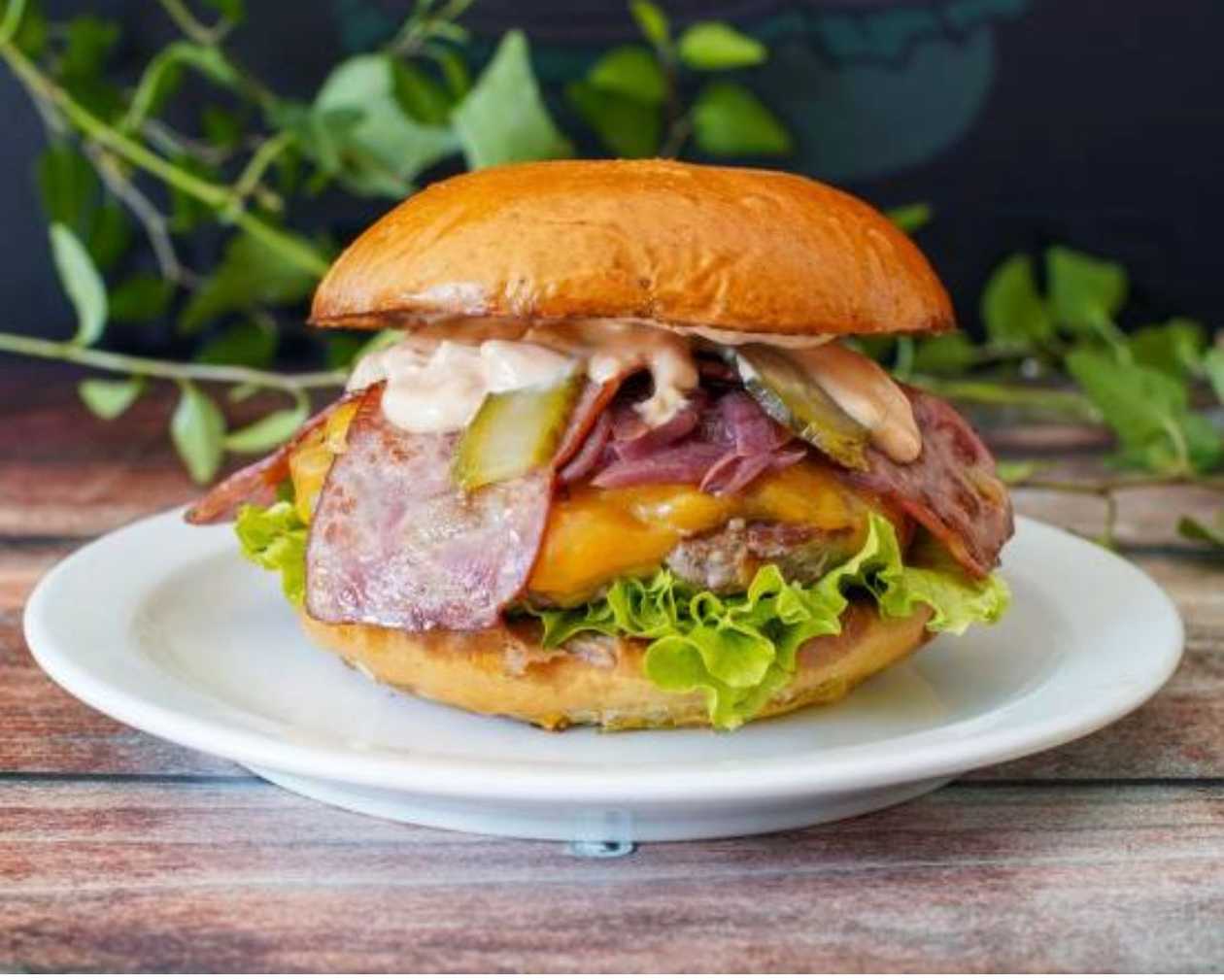 Cheesy Bacon Burger