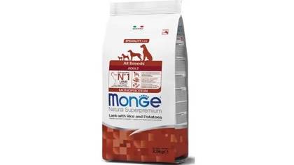 Monge all breed adult dog  lamb